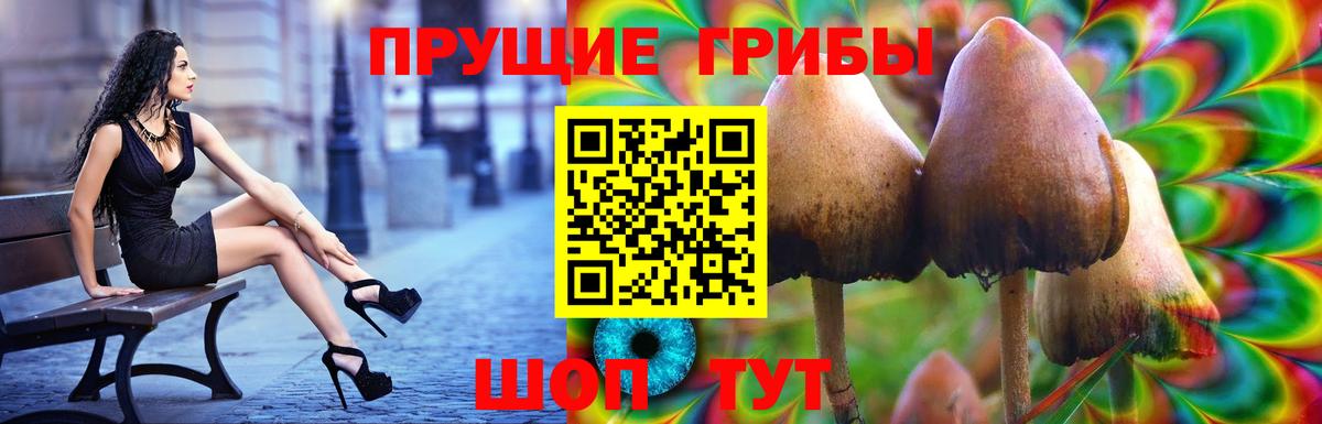 Тулун  Псилоцибиновые грибы мицелий  Вход с VPN 